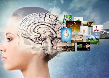 «Planificando el 2021: Tendencias del consumidor»