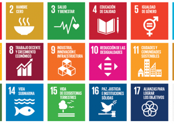 objetivos de desarrollo sostenible