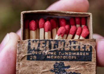 polarización del consumo paco lorente