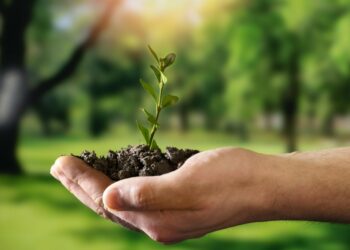 La sostenibilidad como pilar del éxito empresarial moderno