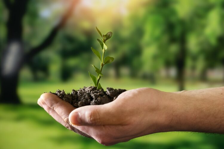 La sostenibilidad como pilar del éxito empresarial moderno