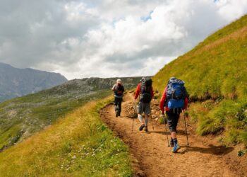 Turismo Sostenible: El Rol de los Hoteles en la Preservación del Medio Ambiente