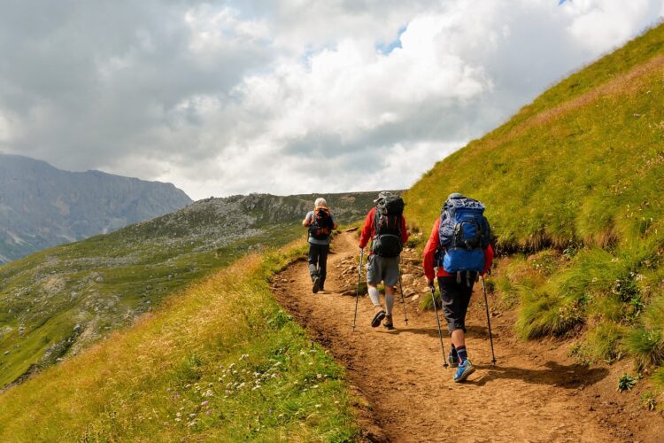 Turismo Sostenible: El Rol de los Hoteles en la Preservación del Medio Ambiente