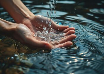 Día mundial del agua: acciones que crean un impacto positivo y sostenible