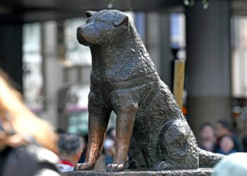 Hachiko y la lealtad empresarial
