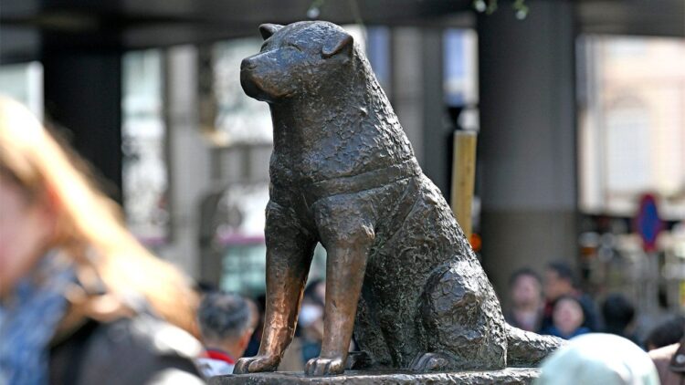 Hachiko y la lealtad empresarial