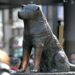 Hachiko y la lealtad empresarial