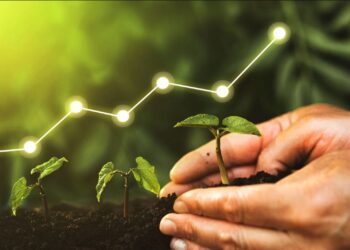 ¿Cómo hacer crecer tu negocio de forma sana y sostenida?