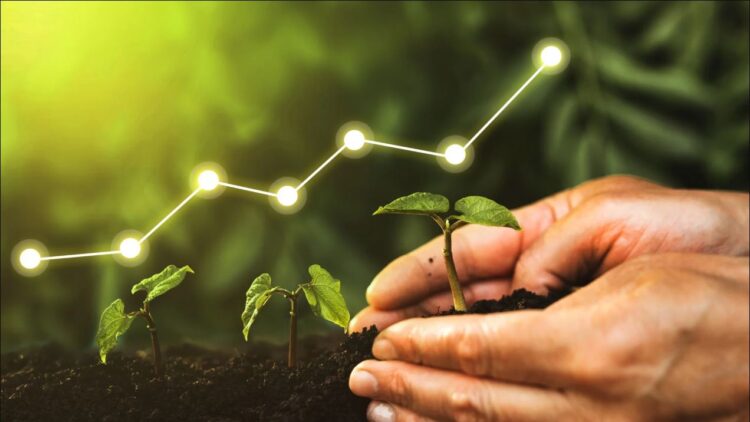 ¿Cómo hacer crecer tu negocio de forma sana y sostenida?