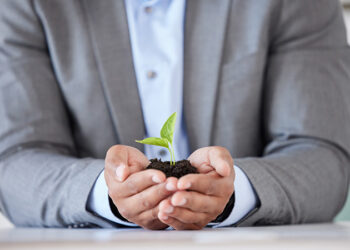 El propósito como brújula de marca