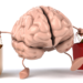 Por qué compras lo que compras: la neurociencia detrás de cada decisión de consumo